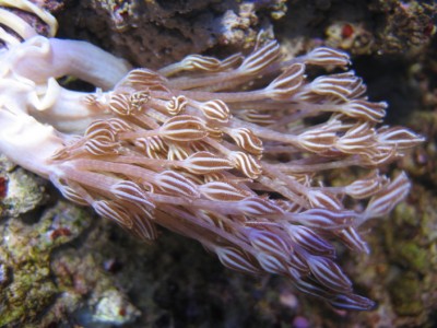 mt 789523 (400 x 300).jpg