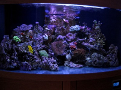 mt 789423 (400 x 300).jpg