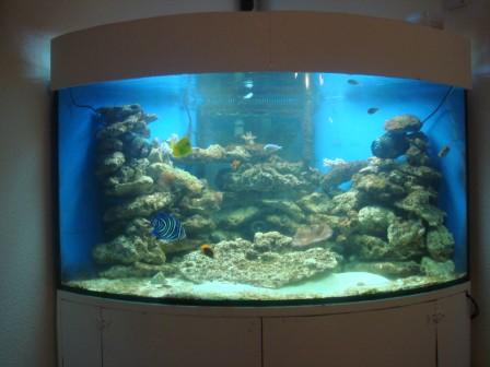 Akvarie.jpg