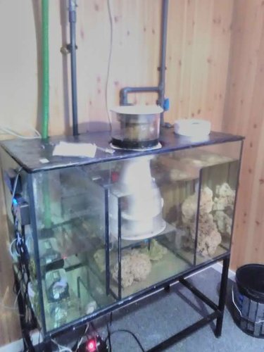 sumpen på de 250 liter med en Bubble King® Double Cone 200 + RD3 Speedy .. som retur bruger jeg en Jebao dct 12000