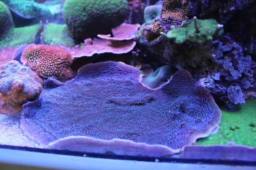 IMG_1537.JPG