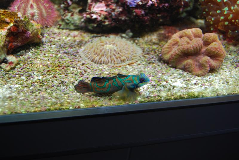 DSC_0083 (Medium).JPG