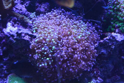 DSC_0548.JPG