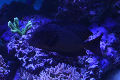 DSC_0552.JPG