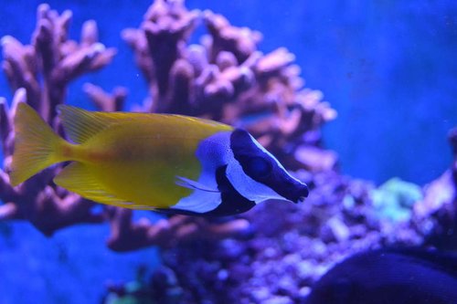 DSC_0557.JPG