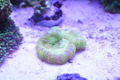 DSC_0566.JPG