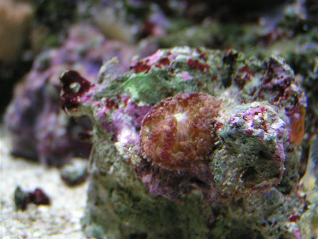 PICT0177 (Small).JPG