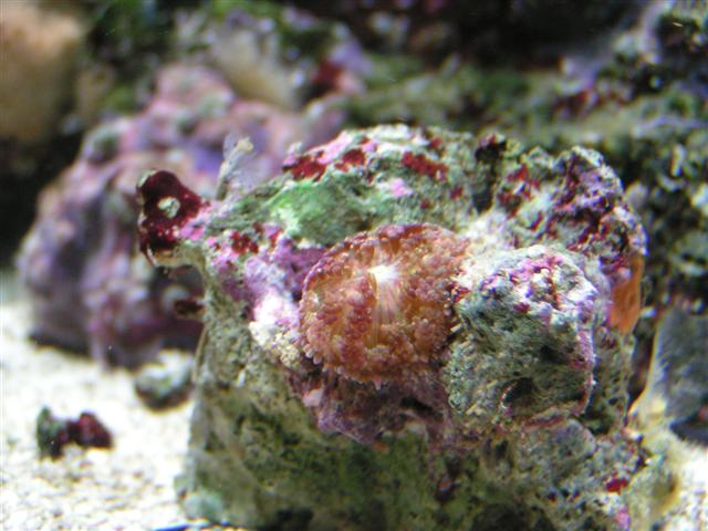 PICT0176 (Small).JPG