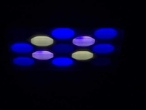 IMG_1189.JPG