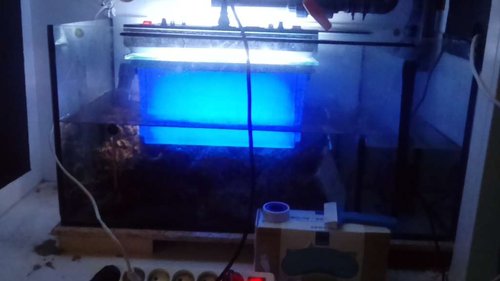 The blue magical box er belyst med the green Devil lampe