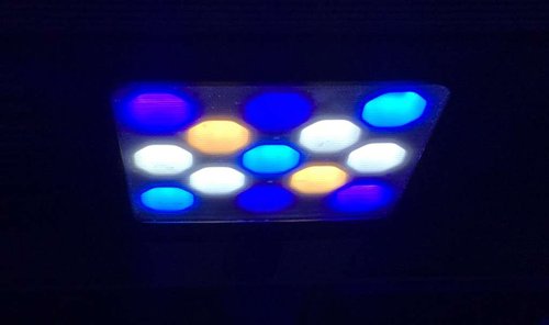 Led30Pct.jpg