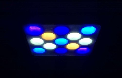 Led100Pct.jpg