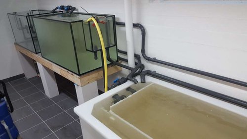 Test påfyldning..jpg (41.58 KiB) Vist 20010 gange Første test opfyldning.