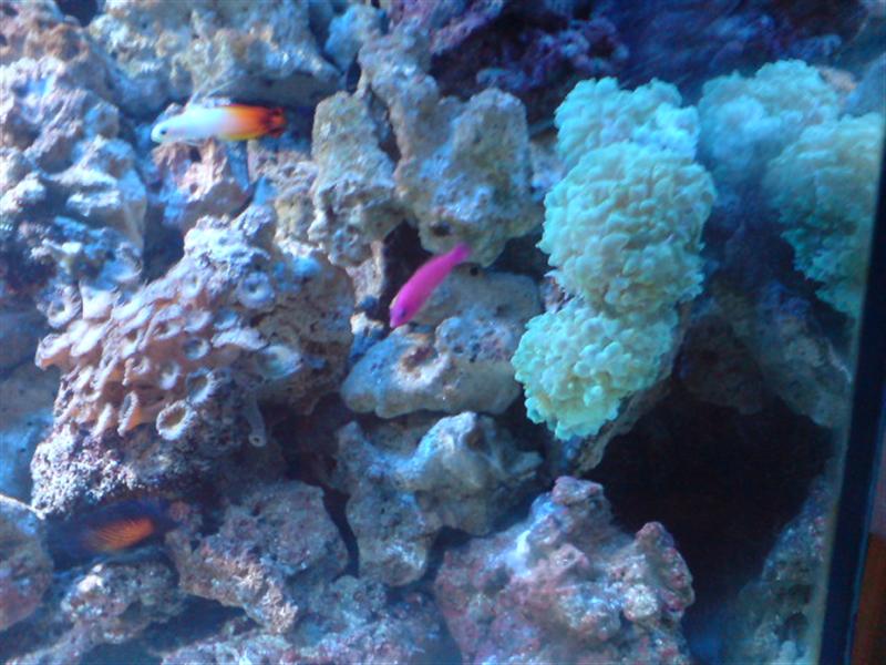 DSC00109