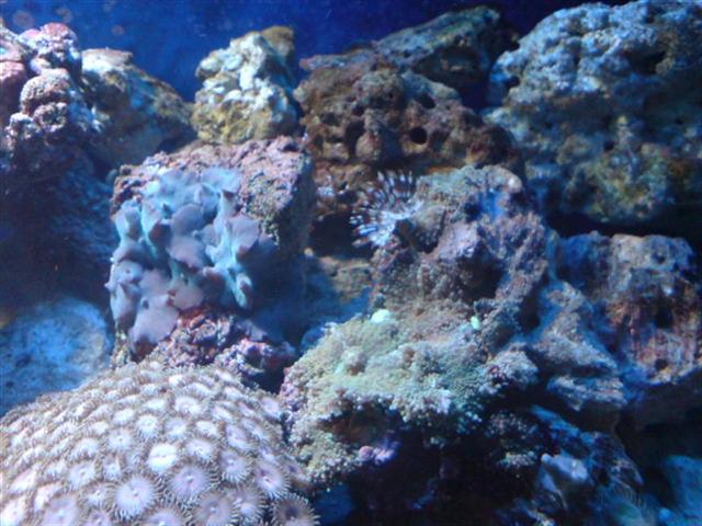 DSC00111