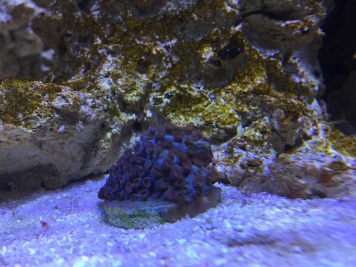IMG_2343.JPG