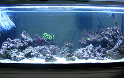 foto007.jpg