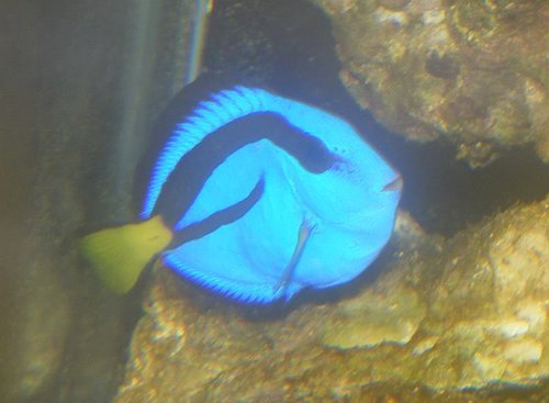 palet005.jpg