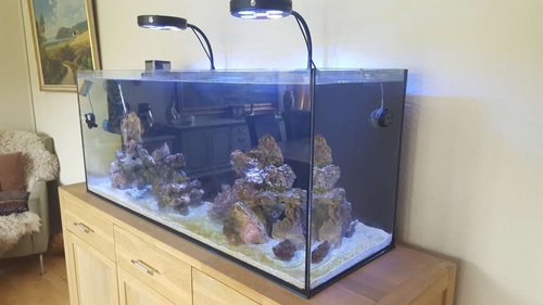 20170724_121057.jpg