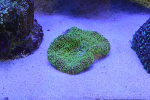 DSC_0579.JPG