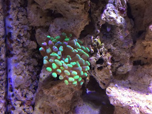 IMG_2394.JPG