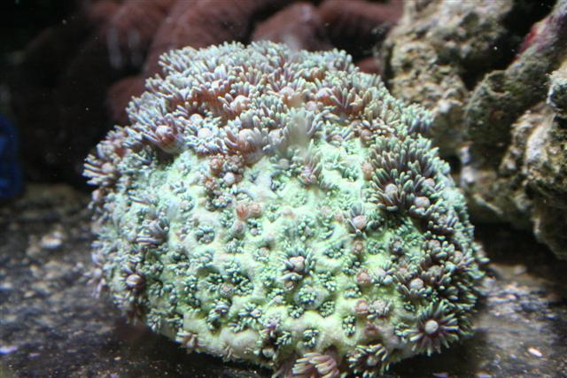 IMG_6402 (Small).JPG