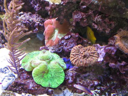 IMG_0748.JPG