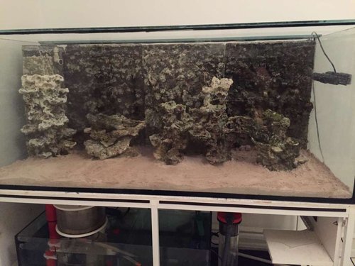 FTS