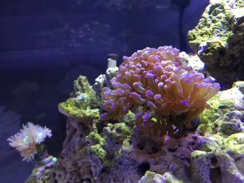IMG_2473.JPG