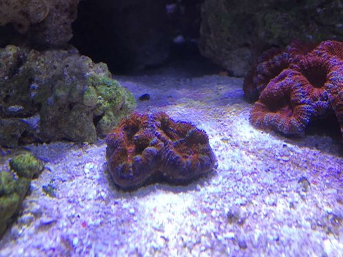 IMG_2470.JPG