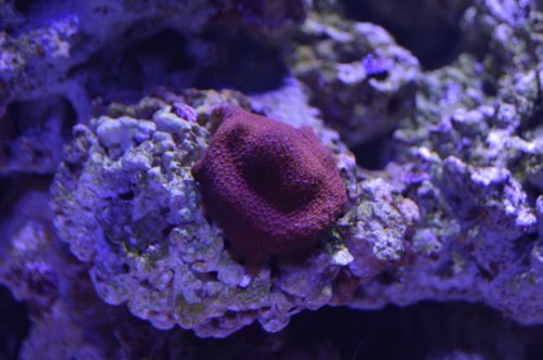 DSC_0012.JPG
