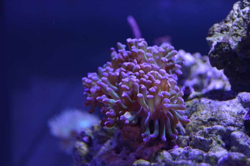 DSC_0010.JPG