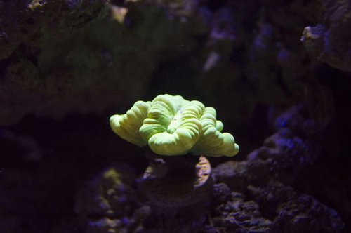 DSC_0027a.JPG