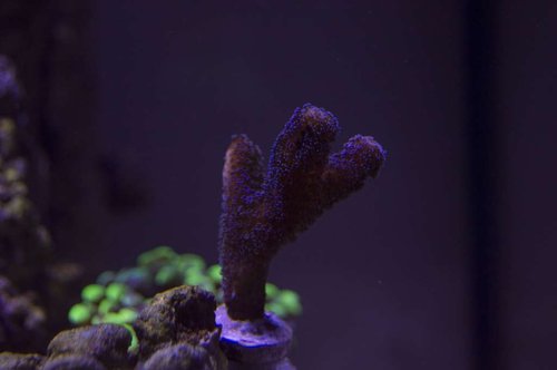 DSC_0016a.JPG