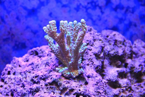 IMG_9099.jpg
