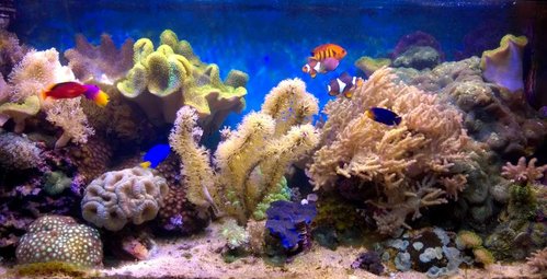 WP_20171009_002.jpg