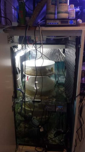 Man glemmer ofte at tage før og efter billeder af sine små projekter, huskede det efter et par timers arbejde med at skjule ledninger. Luftpumpen stod på skummeren og Ozon-reaktoren var stoppet ned bag lydisoleringen. Nu har de deres egen hylde.