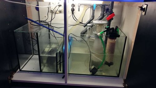 sump.jpg