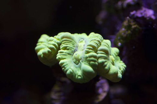 DSC_0016a.JPG