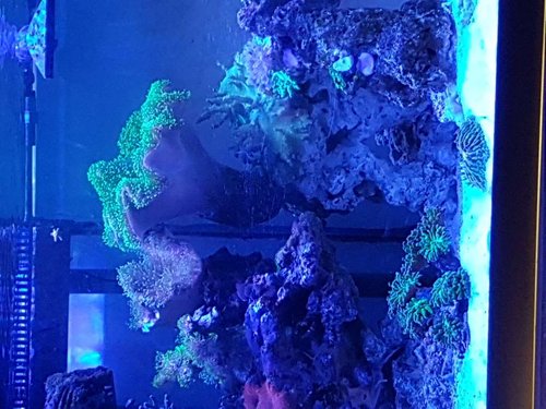 20171106_174121.jpg