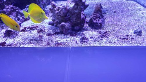 20171112_210755.jpg