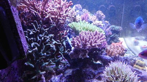 DSC_0066.JPG