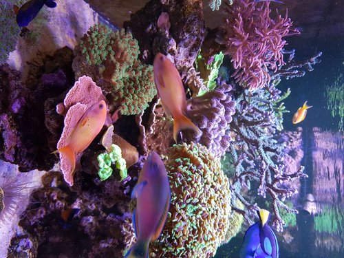 20171118_145215.jpg