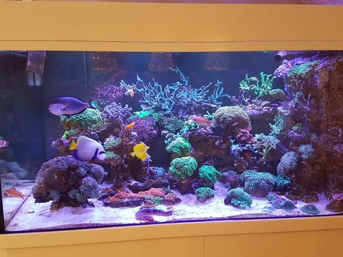20171119_110943.jpg