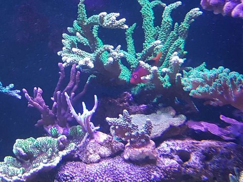 20171119_111459.jpg