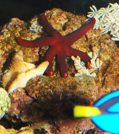 DSC_0005 (400 x 448).jpg