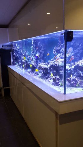 akvarielåger.jpg