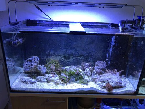 2017-11-30 20.39.15-1.jpg