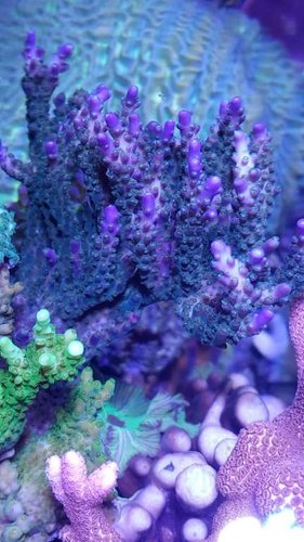 20171106_161018.jpg