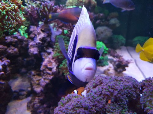 20171214_194604.jpg